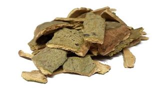 poplar bark prostatitis treatment